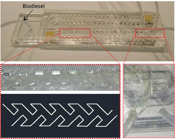 Microfluidic platform for cyanobacterial biodiesel production research